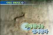 시청자 제보 물은 생명이다