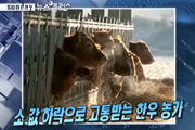선데이뉴스플러스
