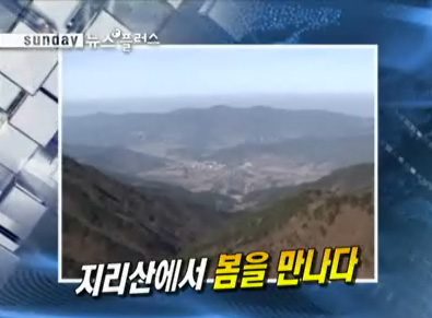 선데이뉴스플러스