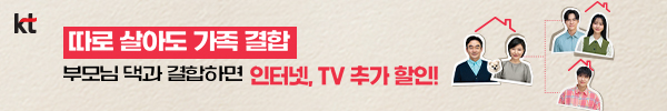 KT닷컴/ SDF