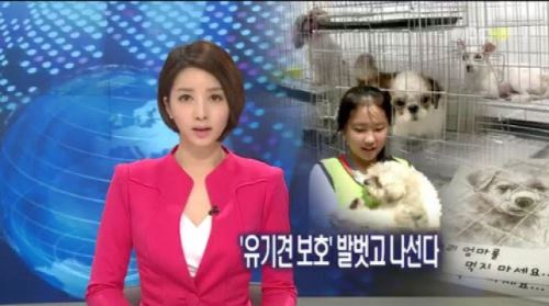 MBC 방송 사상 최장기 파업종료&hellip;24주가 남긴 논란은?