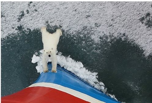 쇄빙선 밀어내는 북
