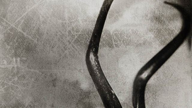 용인 살인사건 피의자, "영화 호스텔 봤다" 대체 어떤 내용이기에... 관심 집중