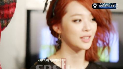 설리 첫사랑 고백 "아직 못해봤어요... 언젠간 오겠죠?" 소녀다운 고백 예뻐&sim;
