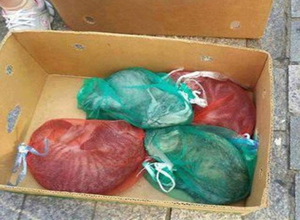 양파망 고양이 넣어 판매&hellip;네티즌 공분