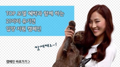 패션모델 혜박, 유기견 입양 캠페인에 발 벗었다