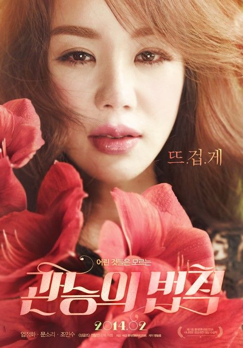관능의 법칙