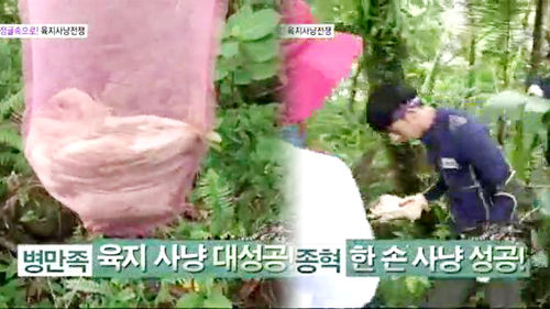 정글3