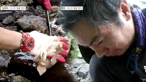 정글4