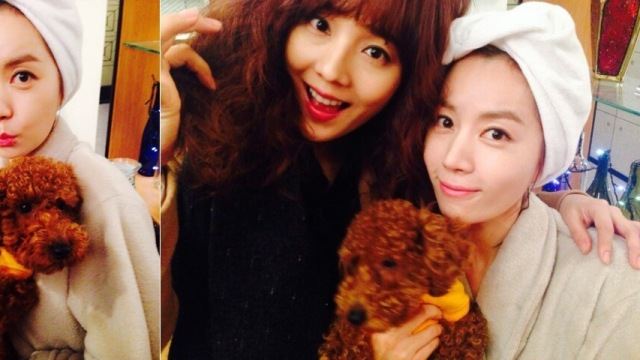 김유미, 샤워 인증샷 공개 &ldquo;푸들로 태어났어야 했어&rdquo;