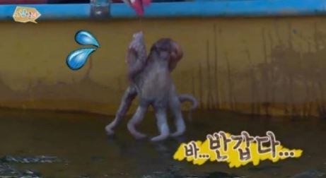 사남일녀 김민종, 전무후무 순수 캐릭터 '강문어 몰카는 뭐지?'