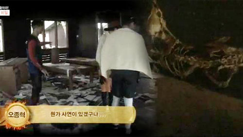 정글4
