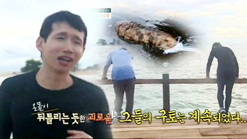 정글3