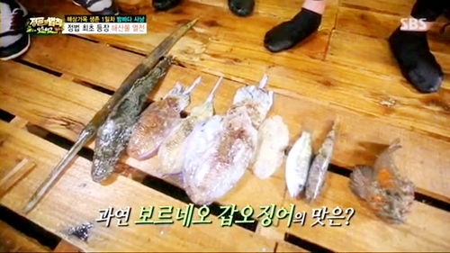 정글5