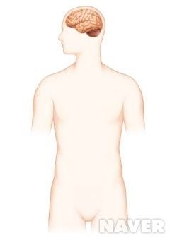 사회공포증 의미