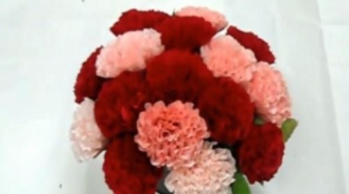 어버이날 스승의날 카네이션 만들기 '동영상으로 배운다' 참 쉽죠?