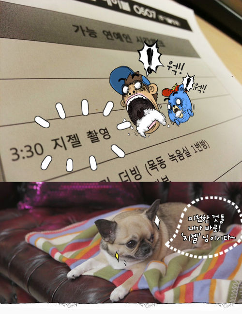 룸메이트