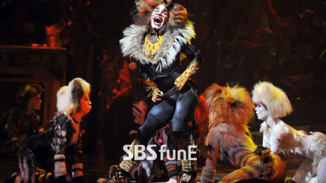 [리뷰] 뮤지컬 ‘캣츠’, 고양이들의 놀이터에서 놀 준비 됐나요?