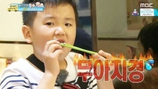 아빠어디가 윤후 '다이어트'도 잊고 코끼리 조개 먹방 '무아지경'