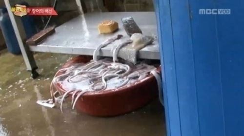 불만제로 장어집 '대박집의 충격 반전' 악취 진동하는 배수로에 값싼 재료