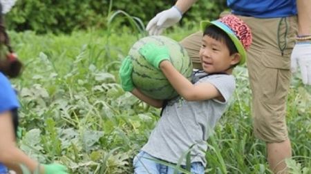 ‘아빠 어디가’ 윤후, 특산물 수박 팔기 위한 윤 매니저 변신 예고