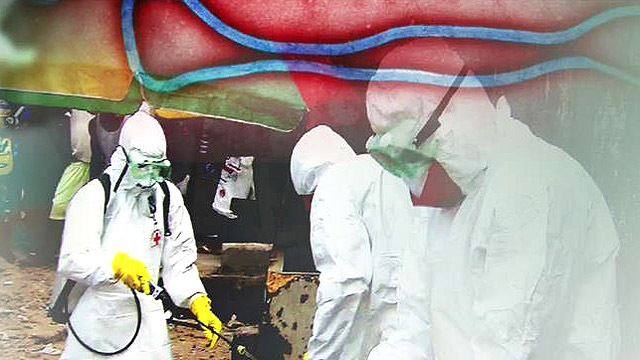에볼라 비상사태 선포&hellip;'공포의 바이러스' 다시 확산될 조짐