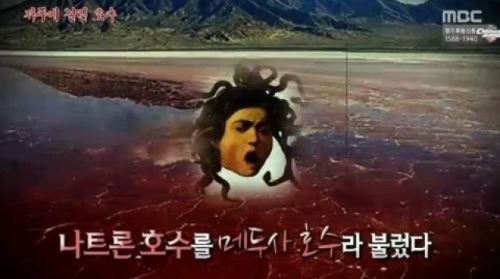 나트론 호수, 모든 동물 돌처럼 만든 미스터리한 호수&hellip;'대체 무슨 일?'