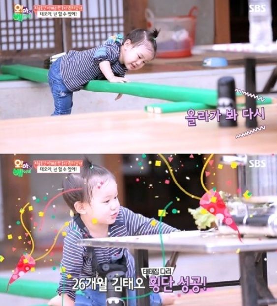 '오마베' 태오, 외나무 다리 건너기 도전…두려움 극복하며 '성공'