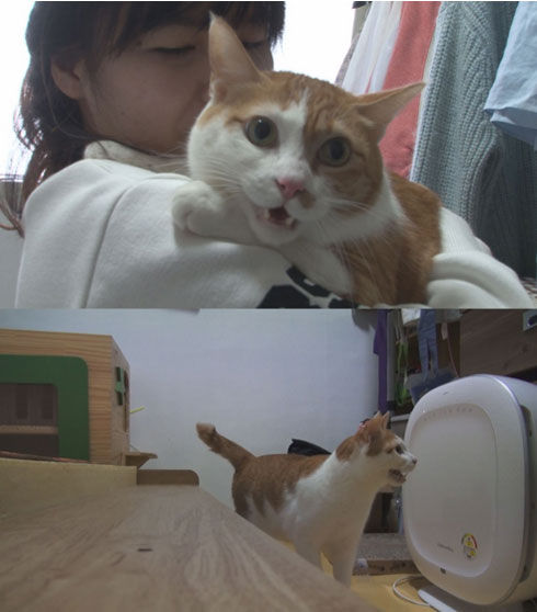 동물농장