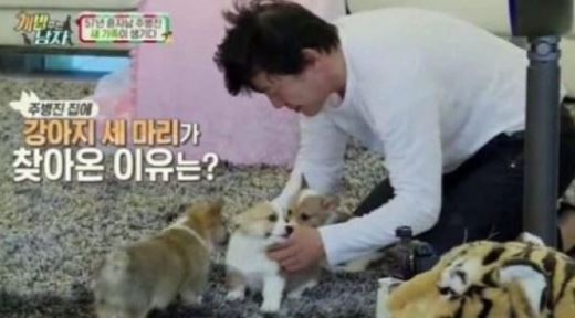 주병진 200평 펜트하우스, 웰시코기 삼둥이로 '개판'됐다