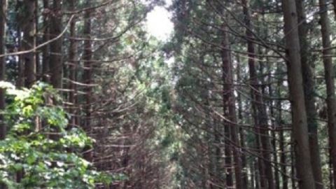 김동률 "이효리 이상순 찰떡궁합, 이렇게 만난 것 다행"