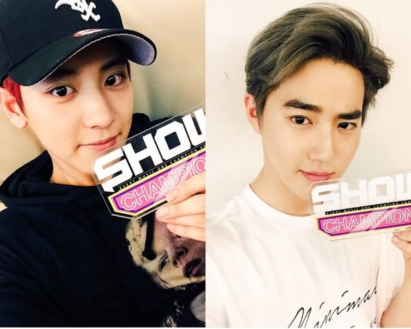 수호
