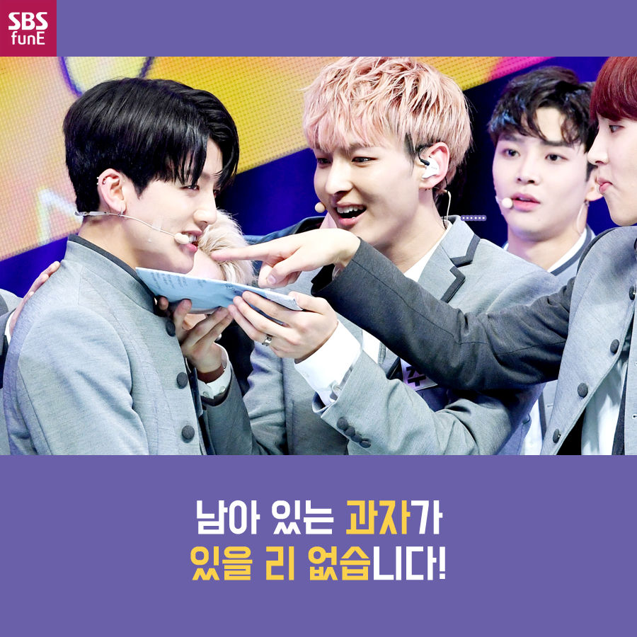 SF9 카드뉴스