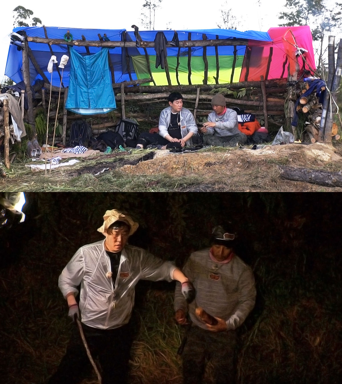 정글의법칙