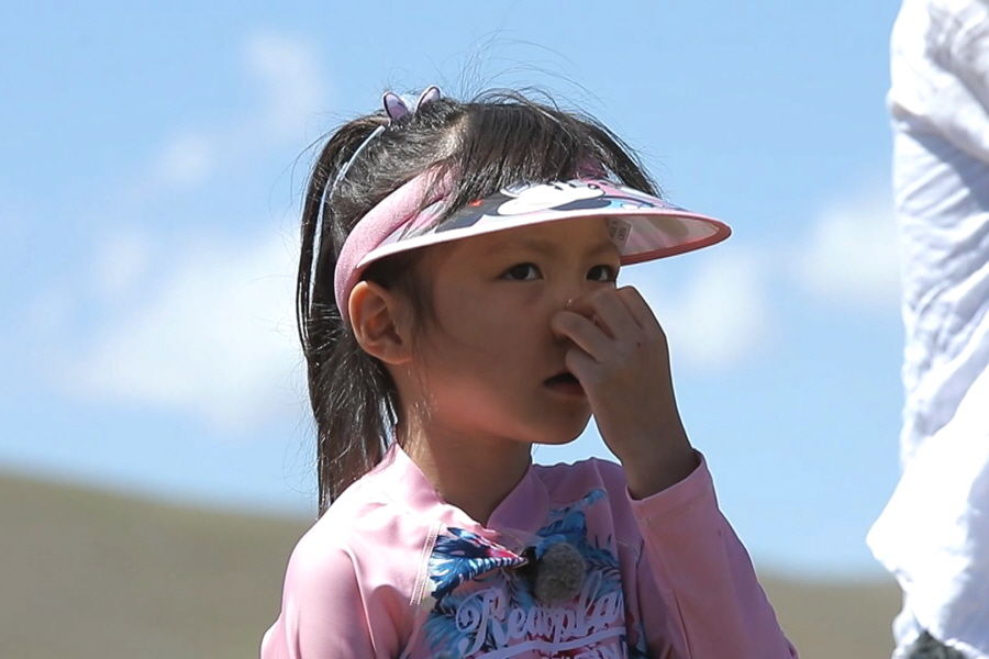 야노시호 추사랑