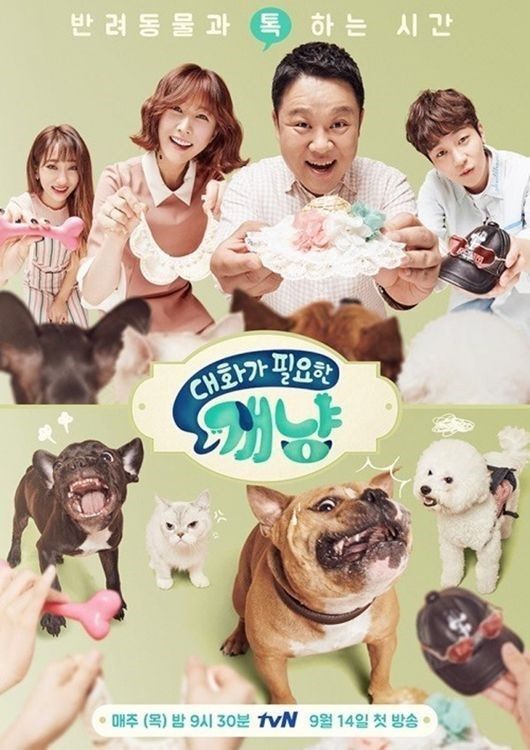 동물농장 대화가 필요한 개냥