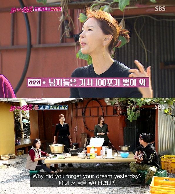 불타는 청춘
