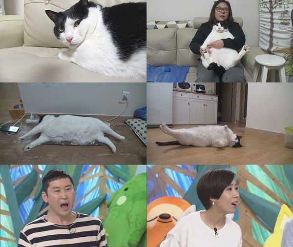 동물농장