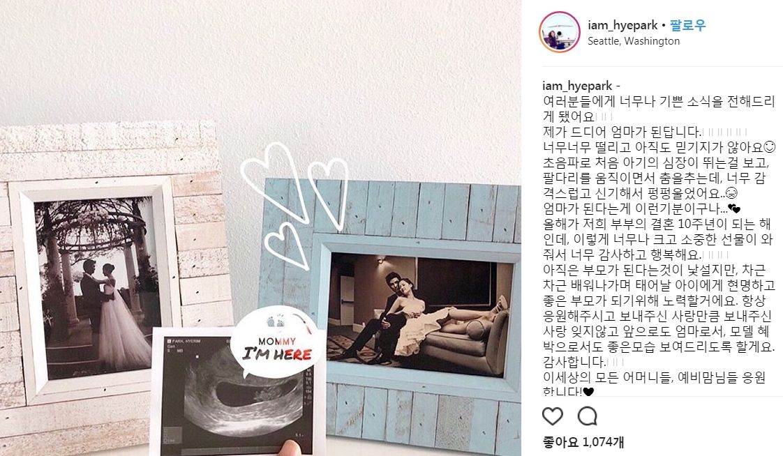혜박
