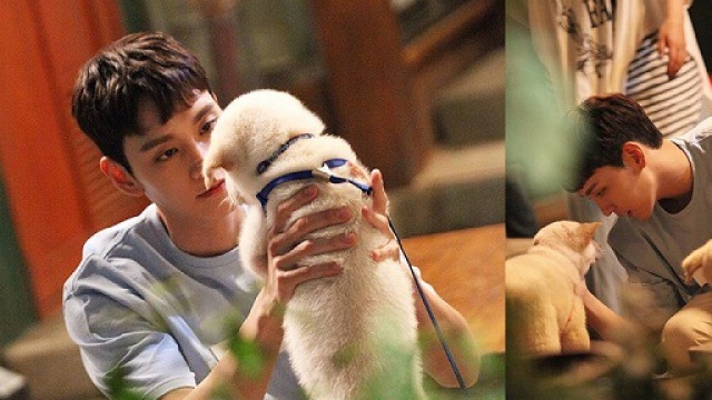 훈남정음 최태준, 멍뭉美 폭발…여심 무장해제