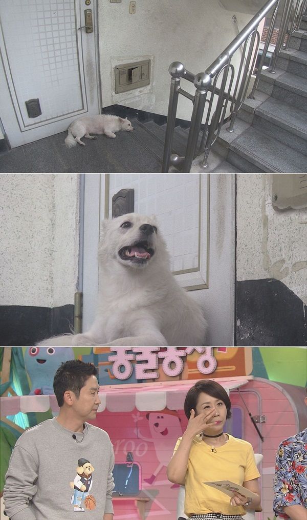 동물농장