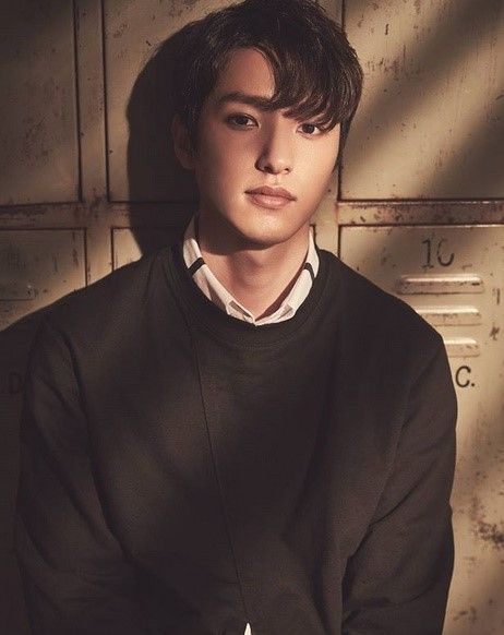 이미지