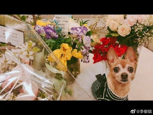 이민호
