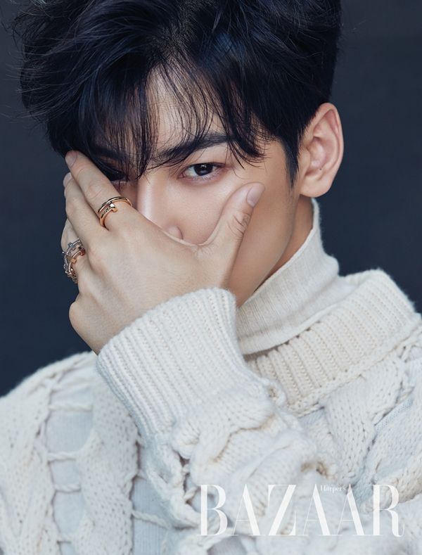 차은우