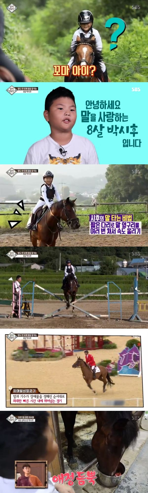 영재발굴단