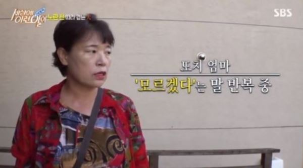 '세상에 이런 일이' 노란색 사랑 강아지 또치, 물건도 음식도 '노랑 홀릭'