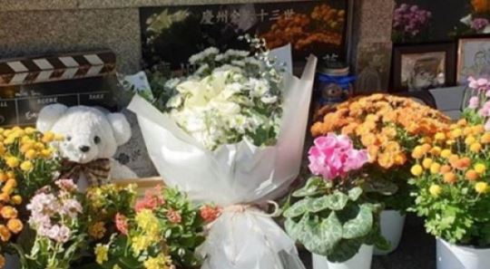 김지수, 故 김주혁 묘소 방문 "잘 지내고 있어, 또 올게"