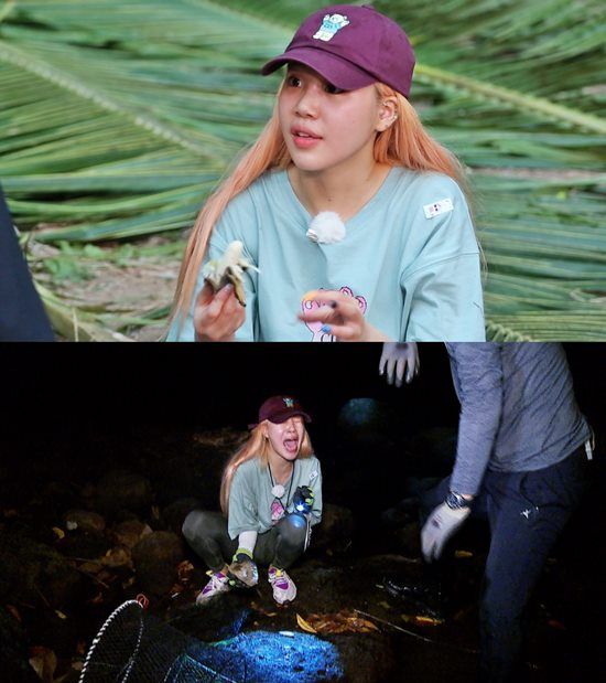 정글의 법칙 주이