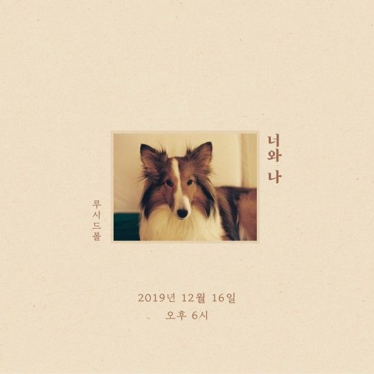 루시드폴