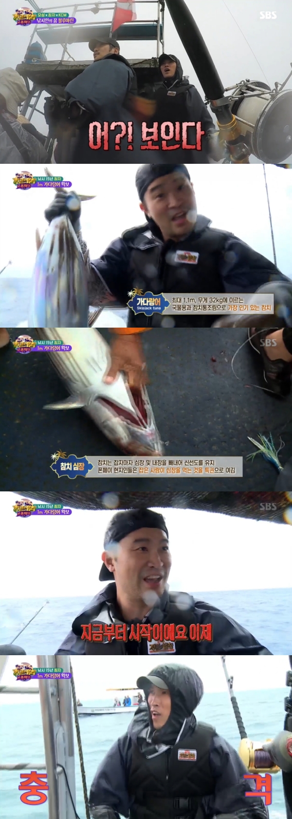 '정글의 법칙' 최자, 대형 가다랑어 낚시 성공 